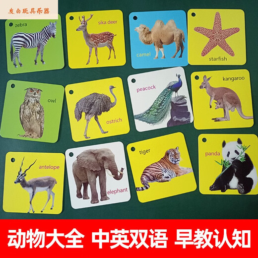 Shantoulin Village Children's Animal Cognitive Card Teaching Aids Aids Pictures et identifier les choses Personnages et modèles Livres raccroche bébé