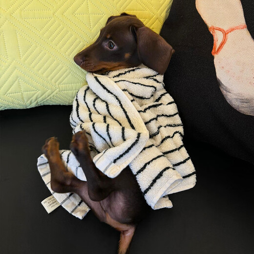 Angbao (ANGBAO) dog bath towel towel bathrobe bath absorbent quick-drying pet pure cotton small dog large Teddy Bichon Schnauzer blue wide stripes 34*75cm125g