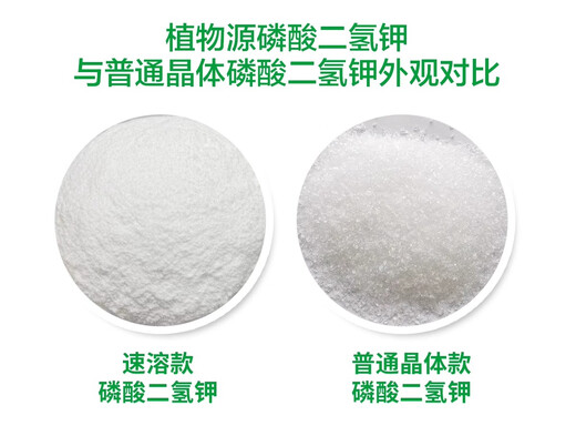 Greenlong Potassium Dihydrogen Phosphate Foliar Fertilizer Flower Fertilizer Rice Fruit Tree Promotes Flowering and Fruit Agricultural General Phosphorus and Potassium Fertilizer 1000g