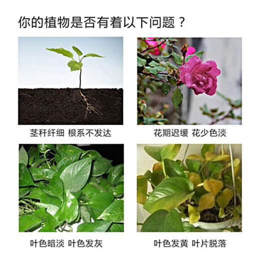 Phosphate fertilizer, superphosphate fertilizer for growing vegetables and flowers, fertilizer for fruit trees, flowers and agricultural crops, general flower-stimulating calcium phosphate fertilizer, phosphate fertilizer 10 Jin Jin is equal to 0.5 kg