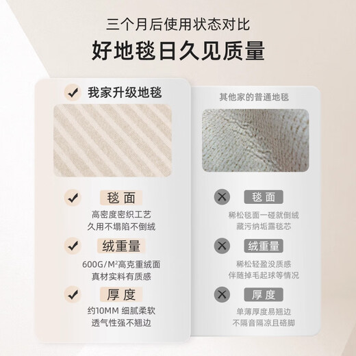 日式奶油风地毯客厅2025新款免洗可擦沙发地垫轻奢感防水家用天津 云颜-16867 180cm*200cm