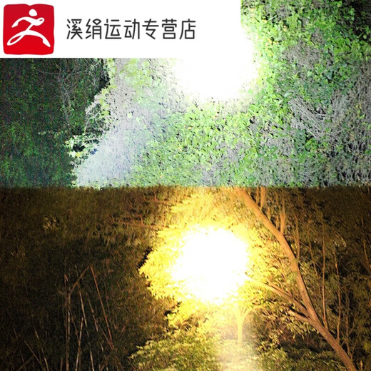 Leo strong bass head lamp charging super bright head-mounted flashlight long-range hernia outdoor mine ultra-long battery life high power 992 9923 white light standard version