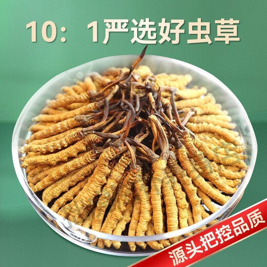 Beijing Tongrentang Quality Tibet Direct Faquenna Cordyceps High-altitude Cordyceps Cordyceps dry goods gift gift 100g gift box 10g canned