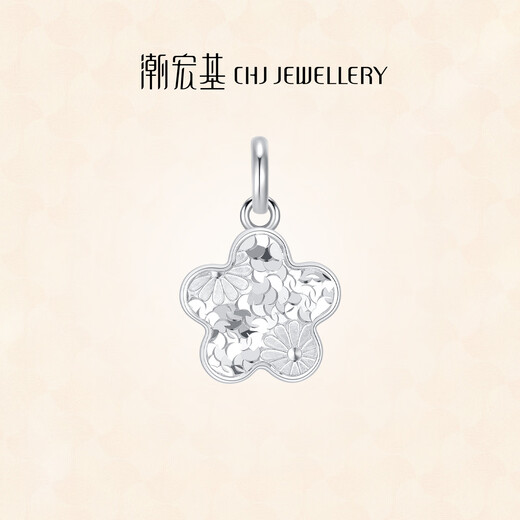 Chao Acer Platinum Crushed Ice Exploding Flower Pendant Women's PT950 Platinum Necklace Birthday Gift Price Single Pendant (Including Labor Cost 260 Yuan) 3.05g
