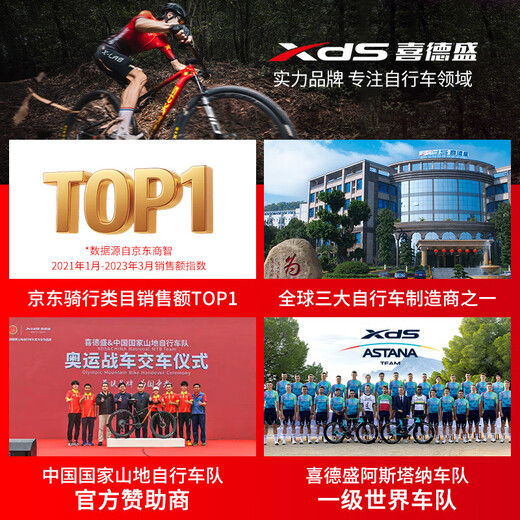 喜德盛（xds）山地自行车黑客700铝合金车架2025款24速油压碟刹成人单车 灰/黑17