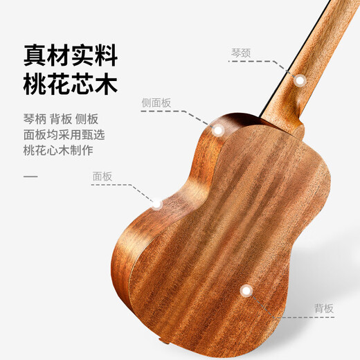 特伦斯（Terence）尤克里里23英寸儿童小吉他成人初学者入门级进阶级女生乌克丽丽男 原木色【旗舰版】单板桃花心 23英寸