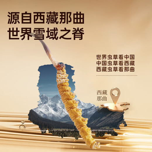 阿依舍西藏那曲野生虫草约4根/克10克约40根冬虫夏草补品送礼长辈