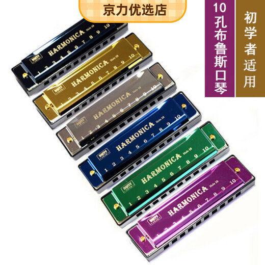天鹅（SWAN）24孔C调口琴儿童乐器10孔布鲁斯初学者成人口风琴玩具118 24孔复音口琴黑