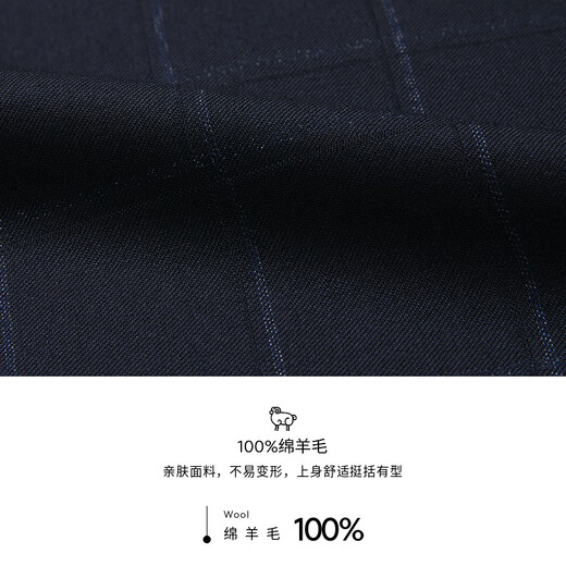 Jinba Herren -Kleidung [100% Wolle] Baseballkragen Frühling und Herbst Kurzversion Jacke Herren HKDT1182 Purple Lamm L.