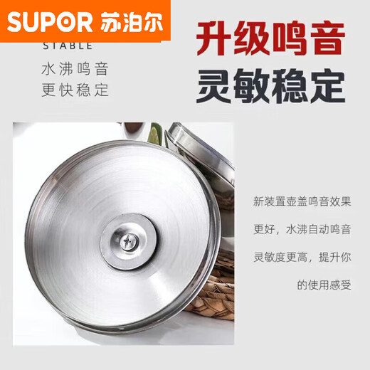 SUPORs gleicher extra dicker Gaskessel aus lebensmittelechtem Edelstahl 316, Pfeifen-Teekanne mit großem Fassungsvermögen für den Heimgebrauch, 10 l