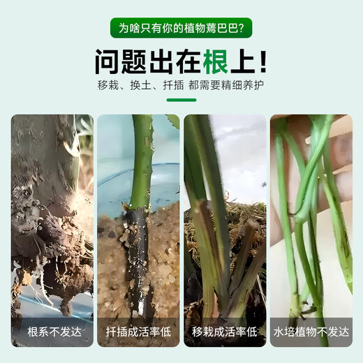 Guoguang Root Promoting Rapid Rooting Liquid Powder Seedlings Flower Cuttings Transplanting Indocynaphthyl Acetic Acid Guoguang Genpan 200ml*1 Bottle
