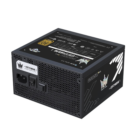 影驰名人堂GS850黑钻限定版金牌全模组850W电脑电源（全日系电解电容/atx3.1/原生PCIE5.1/风扇启停）