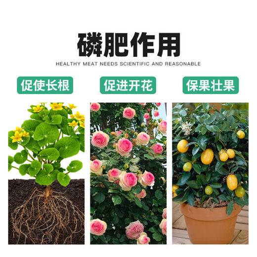 Phosphate fertilizer, superphosphate fertilizer for growing vegetables and flowers, fertilizer for fruit trees, flowers and agricultural crops, general flower-stimulating calcium phosphate fertilizer, phosphate fertilizer 10 Jin Jin is equal to 0.5 kg