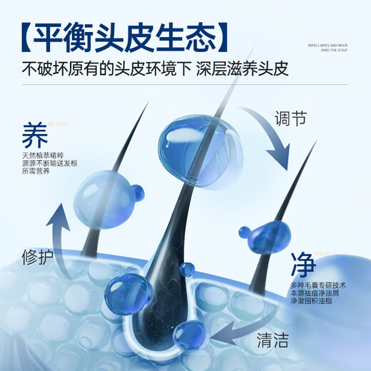 RUYI mite-removing and itching shampoo 500g Mao Yanning silicone-free oil control anti-dandruff seborrheic hair follicle scalp cleaning