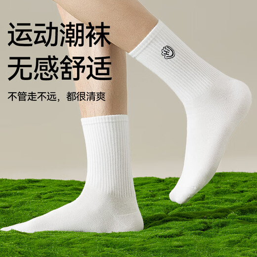 
Cat man 5 pairs of men's socks for men in summer 100% pure cotton embroidered mid-tube socks trendy letter sports basketball socks