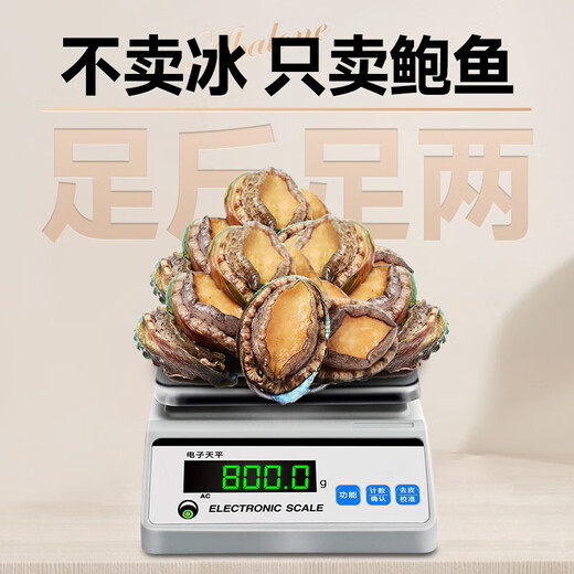 Linglue fresh frozen large abalone, net weight 800g, 16 pieces box, abalone hot pot barbecue, shellfish and seafood, fresh