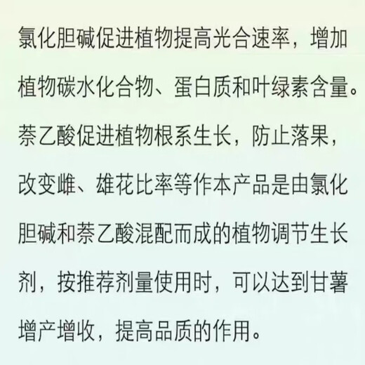 60% choline chloride salty sweet potato garlic peanut potato ginseng underground rhizome expansion agent special agent for increasing production 500g