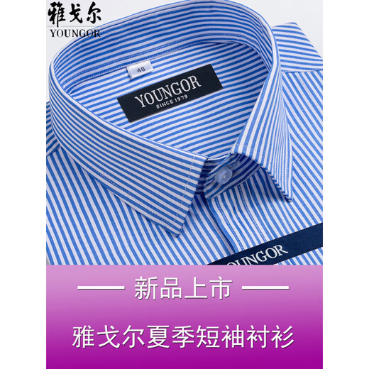 CEO雅戈尔男士短袖衬衫夏季商务休闲职业正装棉免烫中年大码条纹衬衣 短袖DX6624 38