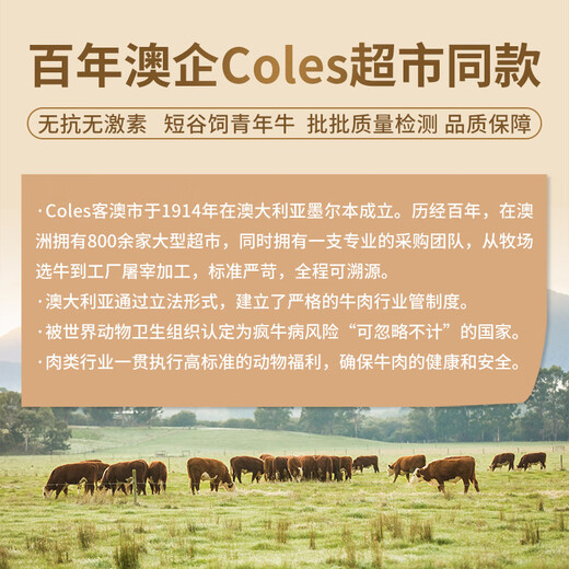 Fresh & Coles Australian Grain-fed Prime Beef Ribs 4 Jin Jin equals 0.5kg, Beef Ribs with 45% meat content, True Prime Cut