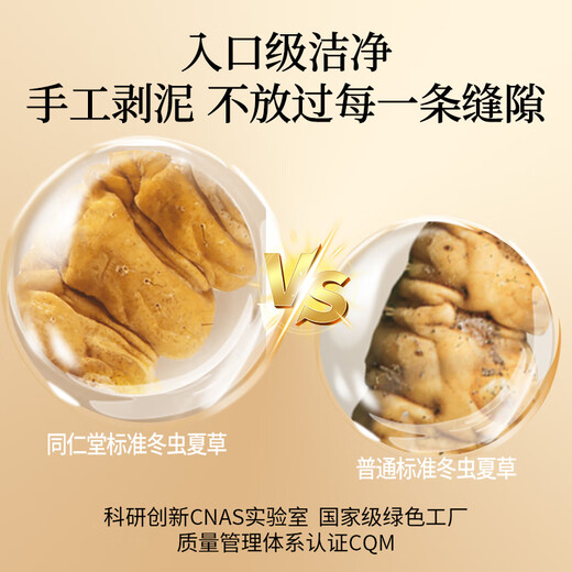 同仁堂品牌北京同仁堂 冬虫夏草虫草礼盒高端营养滋补送礼品长辈老人 1盒 10g 【爆款推荐】约5根/克 约50根