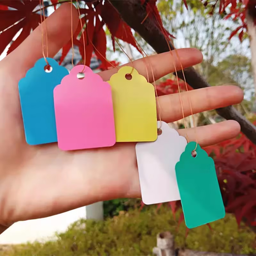 Runhuanian plastic PVC hang tag identification plate color hanging tag seedling label plant fruit tree writeable flower tag waterproof green 7*5cm (500 sheets)