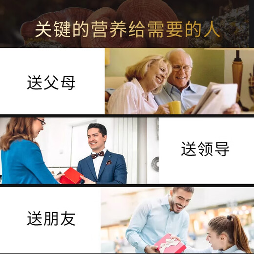 Broken Ganoderma Lucidum Spore Powder Capsules, the same model as Fat Donglai, improves resistance and enhances immunity. Genuine spore powder without gift box, 2 bottles, 120 capsules (enhance physical fitness)