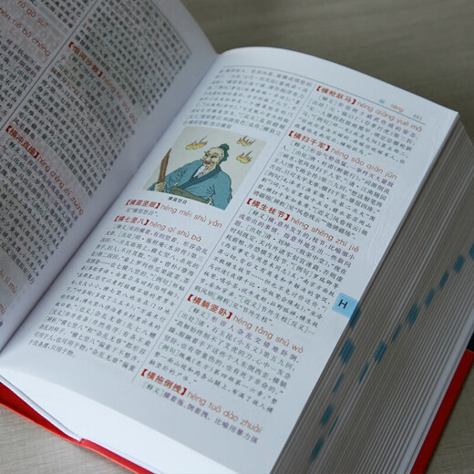 新课标部编版小学生现代汉语词典+古汉语常用字字典（单色）+成语大词典（最新彩色）+学习卡 商务印书馆国际有限公司 教材教辅可搭现代汉语词典第7版古代汉语第3版新华字典牛津高阶英汉双解词典10版2025