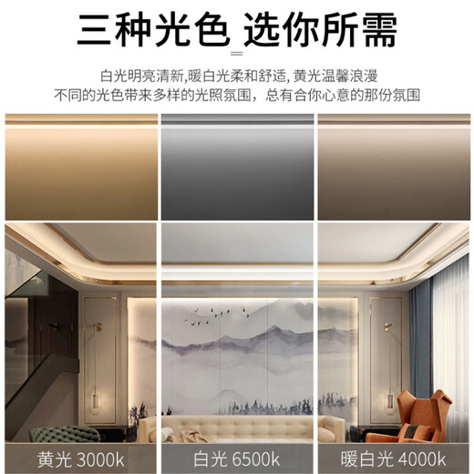 Foshan Lighting (FSL) T8 LED lamp double-ended power supply lamp energy-saving fluorescent lamp 0.6 meters 8W white light (6500K) 5-pack