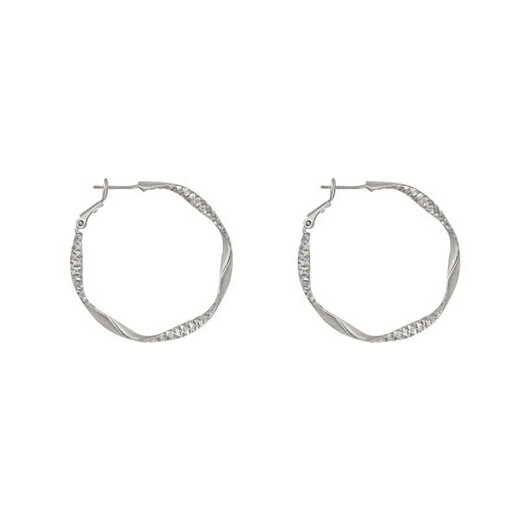 S925 Silver Needle Large Circle Earrings Feminine and High-end Earrings 2025 New Hot Style French Internet Celebrity Earrings for Women Large Circle Earrings Feminine and High-end Earrings