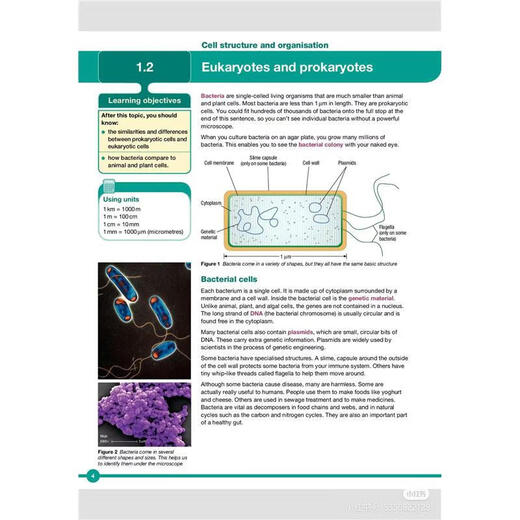 牛津OXFORD国际版AQA IGCSE生物Biology (9201) 真题笔记教材课件备考电子资 P1真题