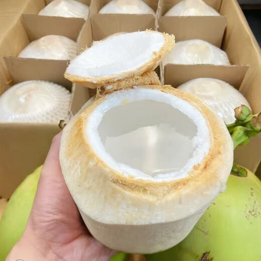 Thai Perfume Green Coconut Fresh Coconut Peeled Milk Fragrant Green Coconut Single Fruit 900g Large Fruit 6 Pieces (Recommended) Sweet and delicious, full of milky flavor