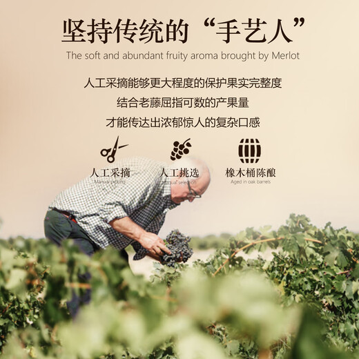 路易拉菲（LOUIS LAFON）法国进口红酒礼盒14度梅洛干红葡萄酒750ml*2瓶原酒红酒双支送礼