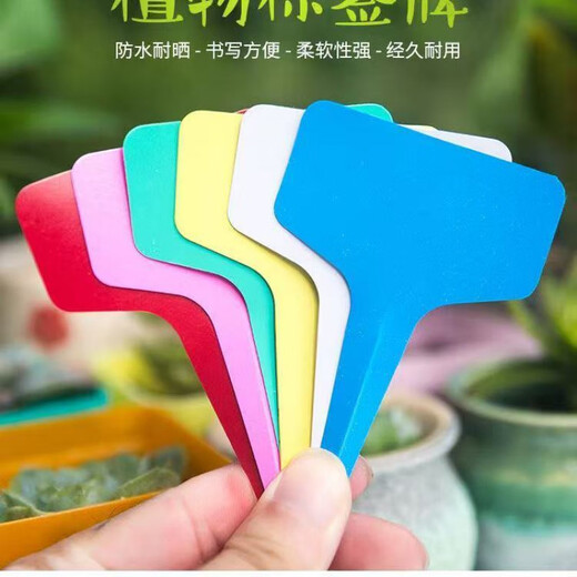 Садовая этикетка, идентификационная этикетка для суккулентов, этикетка с овощами и цветами, запись названия растения, бонсай, пластиковая этикетка для заземления, желтая, 100 шт.