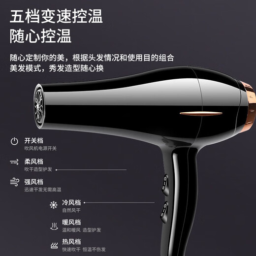 Zaoyu Hair Dryer Momening négatif Ion Hair Care Grand éolien Baborber Shop spécial Salon de coiffure rapide Salon haute puissance 3524 Black 1200W Power