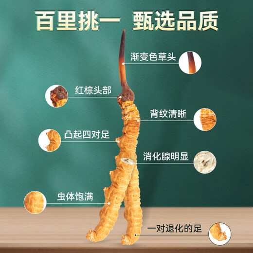 Tibetan Authentic Tibetan High-altitude Cordyceps Gift Box tonic for the first stage of the Cordyceps gift for elders and parents [Economic and self-use] 5 sticks/g-10 grams-50 sticks [Special discount]