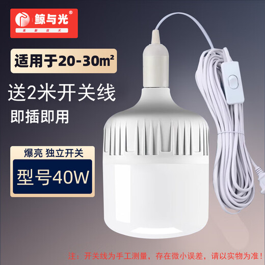 Whale and Light LED energy-saving light bulb with plug household plug-in e27 socket lamp with switch wire super bright hanging small wall lamp 2 meters wire