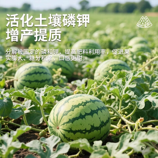 Devodore citric acid soil acidifier flower special fertilizer blueberry jasmine vegetable camellia acid-loving plant potted flower fertilizer citric acid soil acidifier 500g