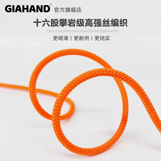 GIAHAND competition grade P rope fine dog training P chain dog walking small and medium-sized dog rope explosion-proof pet dog leash, extremely night black, total length 1.5 meters, suitable for training, dog walking