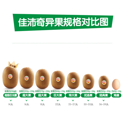 Zespri New Zealand Sunshine Gold Kiwi Fruit 8 Pack Extra Large Fruit Single Fruit Weight Approximately 122-146g Fruit Kiwi Fruit