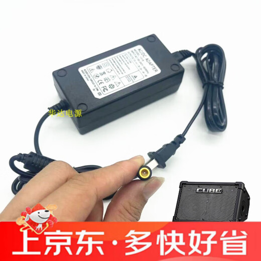 Suitable for PSB12U Roland CUBE STREET EX stereo playing and singing speaker 13V charging source