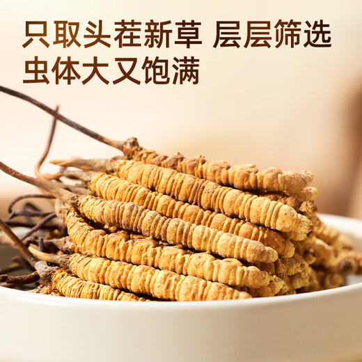 紫蓝花海冬虫夏草 3-4根/g 1g 新干高品质虫草滋补品尝鲜【健康礼盒】