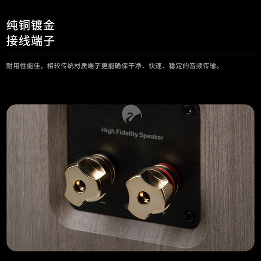 惠威（HiVi）Oasis（绿洲）无源HiFi音箱高保真书架hifi音响 客厅书房电视电脑音箱 需搭配功放
