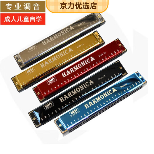 天鹅（SWAN）24孔C调口琴儿童乐器10孔布鲁斯初学者成人口风琴玩具118 24孔复音口琴黑
