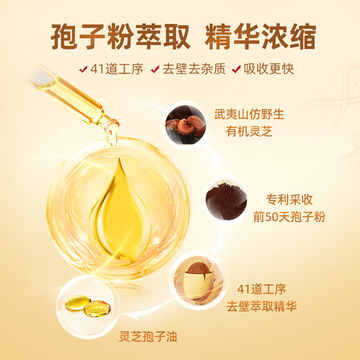 仙芝楼灵芝孢子油软胶囊破壁灵芝孢子粉精华增强免疫 高三萜 送礼推荐 24盒 720g 【全年量】家庭囤货