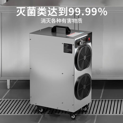 ANLEAVO ozone generator food factory disinfection ozone machine industrial workshop school hospital municipal garbage room cold storage warehouse archives room air purifier sterilization, deodorization and odor removal 30g/h (applicable to 300-400 square meters)