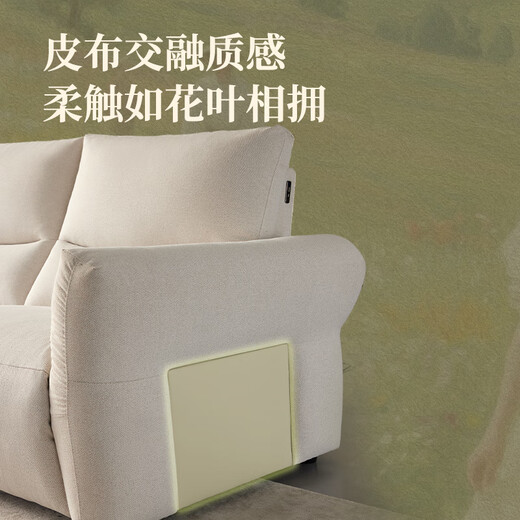 Lezhibao lazboy canapé fonctionnel salon de style crème tissu électrique zéro canapé mural de fleur vallée promenade 679 yunlanbai - trois personnes gauche électrique - 2,59 mètres