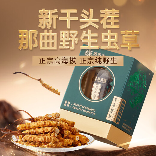 Ayishe Wild Cordyceps 10 Gramm Cordyceps sinensis, Tibet Nagqu Cordyceps Gesundheitsnahrungsergänzungsmittel kostengünstige Familiennahrung