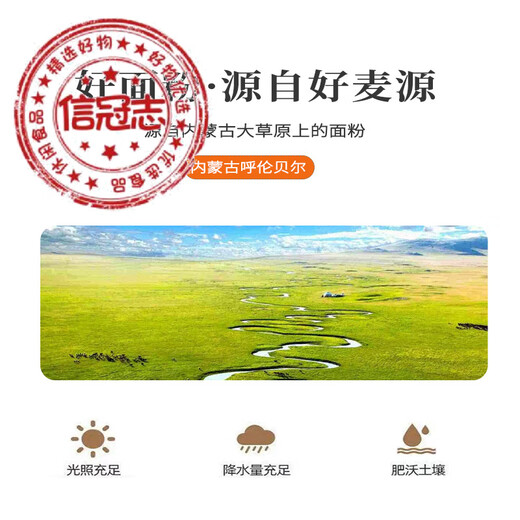 草原浪花内蒙海拉尔草原浪花雪花小麦粉新国标GBT1355-2021中筋面粉5kg 10斤雪花粉