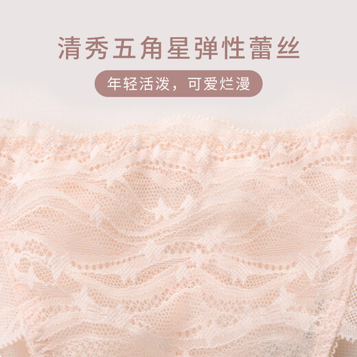 Huagoer Blue Label Japanese Lace Mid-Low-Wait Briefs Underwear Women WP3523 Tender Pink 1 L (165/95)