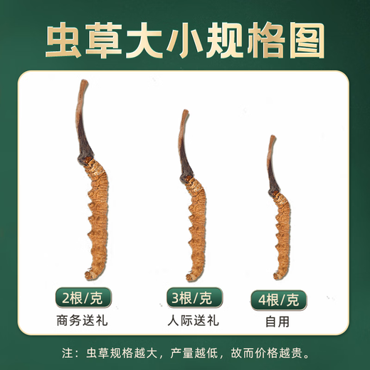 冬虫夏草冬虫夏草藏区雪域虫草2根一克干货冬虫草送礼佳品60根 60根礼盒装【规格2.5根1克】